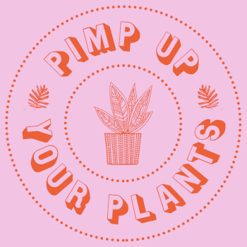 Pimp Up Your Plants, pottery and painting teacher